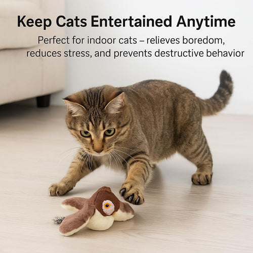 Cat playing with the flapping bird toy