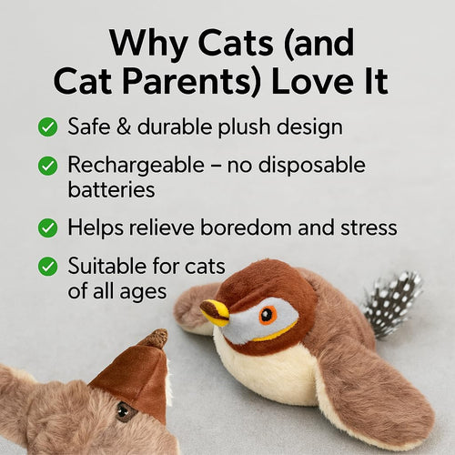 Why cats love the flapping bird